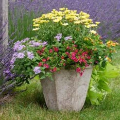 Milano Octagon Planter -Garden Bloomy Shop x600 27908