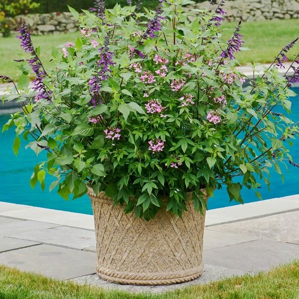 Milano Basket Weave Planter 4 Milano Basket Weave Planter - Image 2