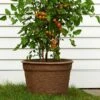 Fiber Garden Pot -Garden Bloomy Shop x600 28115