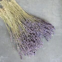Dried Lavender Bundles, Set Of 2