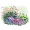 Hummingbird Garden For Shade -Garden Bloomy Shop x600 28819