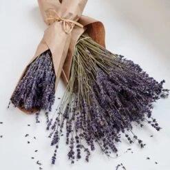 Dried Lavender Bundles, Set Of 2 -Garden Bloomy Shop x600 29317