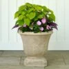 Albani Urn, Natural -Garden Bloomy Shop x600 29446