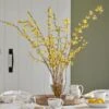 Forsythia Flowering Branches 1 Forsythia Flowering Branches -Garden Bloomy Shop x600 29871