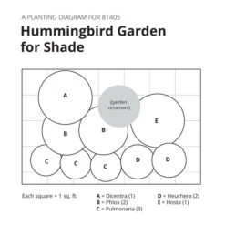 Hummingbird Garden For Shade -Garden Bloomy Shop x600 30417