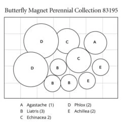 Butterfly Magnet Perennial Collection -Garden Bloomy Shop x600 32077