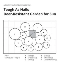 Tough As Nails Deer-Resistant Garden For Sun -Garden Bloomy Shop x600 32083
