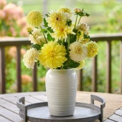 Three Rivers Handmade Ridged Frog Vase -Garden Bloomy Shop x600 33028