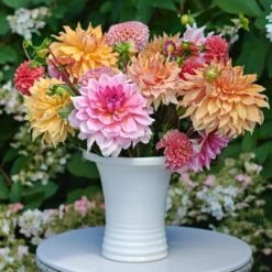 Three Rivers Handmade Fluted Frog Vase -Garden Bloomy Shop x600 33029