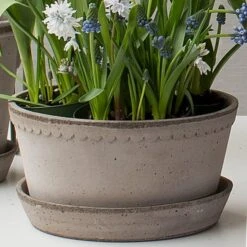 Gray Cottage Dish Planter And Saucer, 8½" Wide -Garden Bloomy Shop x600 34264