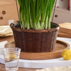 Paperwhite 'Wintersun' Kit With Woven Basket -Garden Bloomy Shop x600 34765