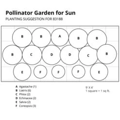 Pollinator Garden For Sun 19 Pollinator Garden For Sun -Garden Bloomy Shop x600 37399
