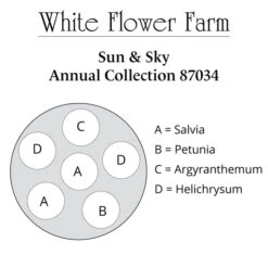 Sun & Sky Annual Collection -Garden Bloomy Shop x600 37450