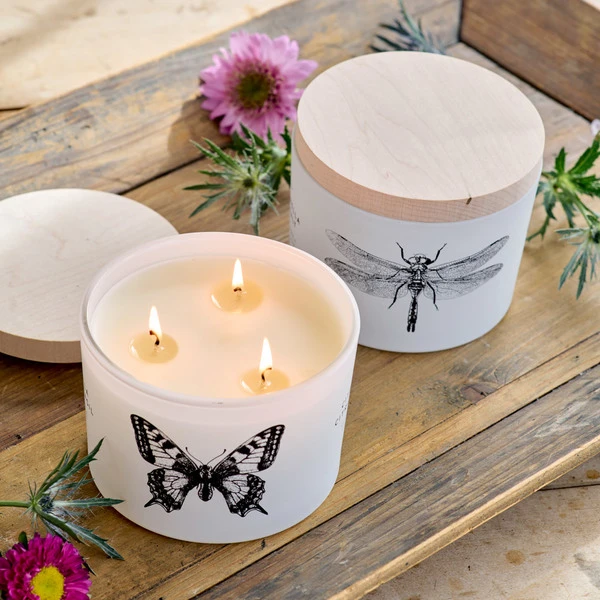 Citronella Sea Salt Candle – Dragonfly 4 Citronella Sea Salt Candle – Dragonfly - Image 2