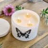 Citronella Citrus & Basil Candle – Butterfly -Garden Bloomy Shop x600 37630
