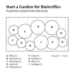 Start A Garden For Butterflies -Garden Bloomy Shop x600 37680