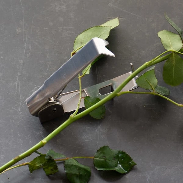 Thorn Stripper 4 Thorn Stripper - Image 2