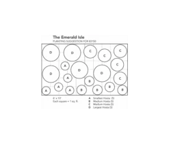 Emerald Isle Hosta Collection -Garden Bloomy Shop x600 916